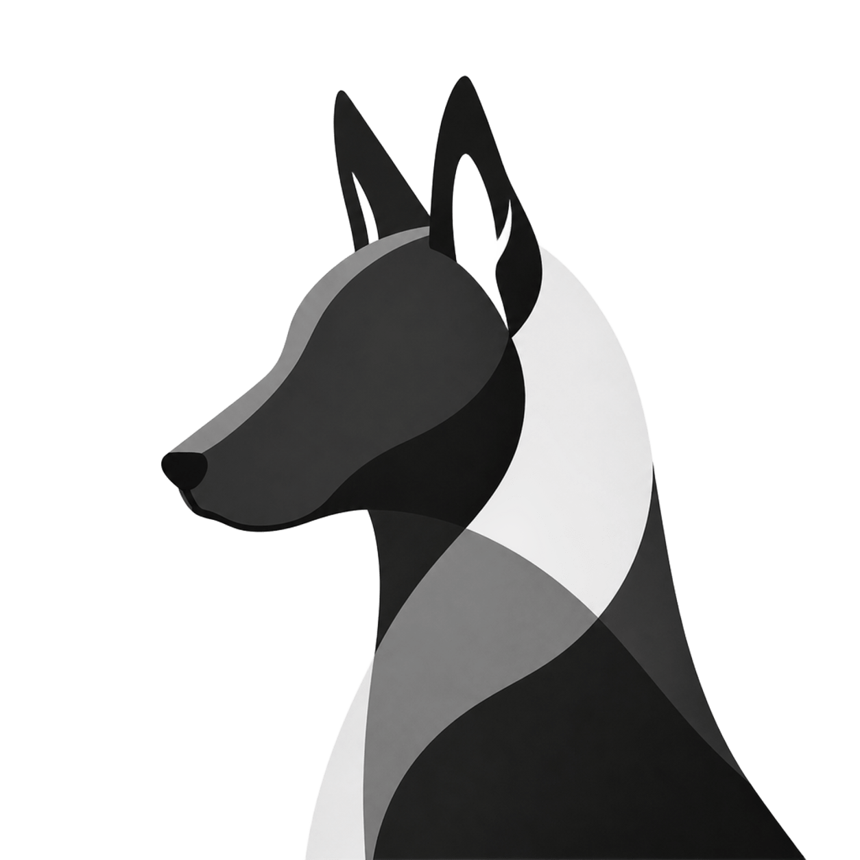 Xolo